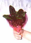 Spinach has it own menstrual food group